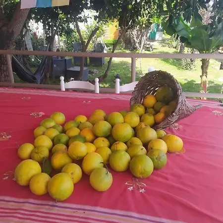 בית הארחה De Tarzan לאס פאלמס דה גראן קנאריה